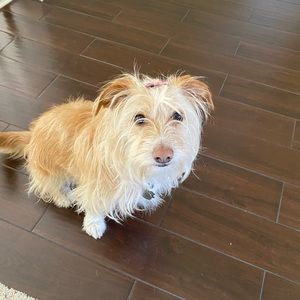 Meet your Posher, Ahlia